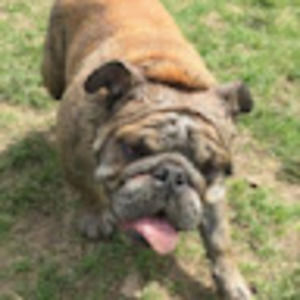 Meet your Posher, Bettina